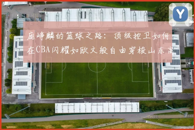 庞峥麟的篮球之路：顶级控卫如何在CBA闪耀如欧文般自由穿梭山东高速