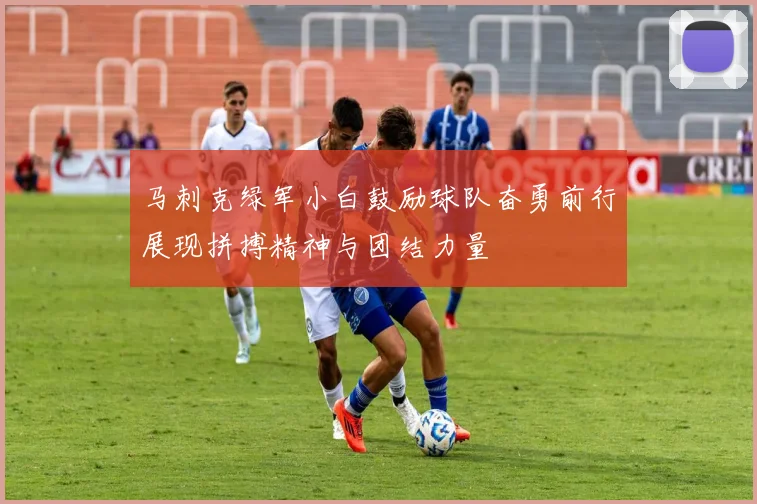 马刺克绿军小白鼓励球队奋勇前行展现拼搏精神与团结力量
