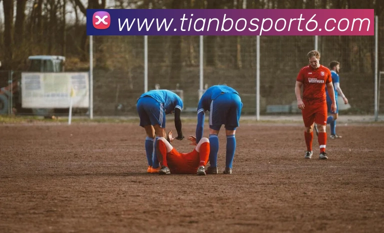 天博体育发展历程